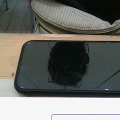 Iphone, segundo informou Pukkelpop Festivalterrein usando iLost