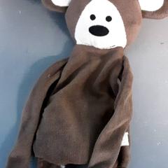Knuffeldoek beer, amint azt Diergaarde Blijdorp az iLost segítségével jelentette.