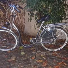 Dames fiets, como reportado ao iLost