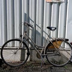 Bicicleta Kettler Zilver met groene letters, como reportado por Fietsdepot Hasselt utilizando o iLost