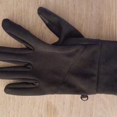 Zwarte linker handschoen, dun materiaal، كما تم الإبلاغ عنه عبر iLost