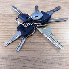 열쇠 Divers, iLost를 사용하여 Connexxion Amstelland-Meerlanden Schiphol Zuid에 보고됨