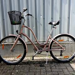Kolo townie Metalic roze, jak nahlášeno Fietsdepot Hasselt pomocí iLost