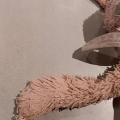 Plush slap, as reported by De Efteling using iLost