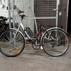 Bicicletta Run&Bike Grijs/zwart/wit, come riportato da Fietsdepot Hasselt utilizzando iLost