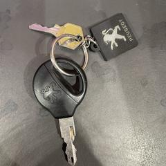 Car keys, ako bolo nahlásené iLost