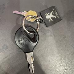 Car keys, como reportado ao iLost