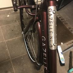 Fiets がiLostに報告されました