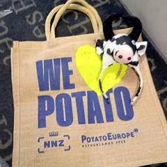 Draagtas & Haarband Tote bag, zoals gemeld door Van der Valk Hotel Sneek met iLost