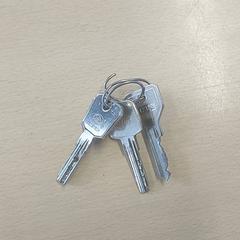 Keys, as reported by Regio Antwerpen - Brussel using iLost