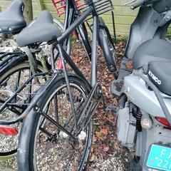 Heren fiets, ako bolo nahlásené iLost