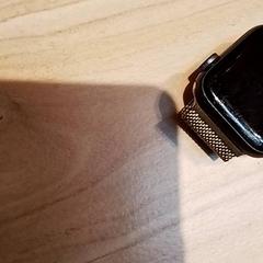 Apple watch Goud bandje, segons ha informat Beekse Bergen Resorts en Hotel mitjançant iLost