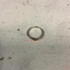 Ring Zilver, as reported by Artis using iLost