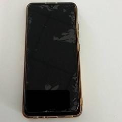 Telefono mugikorra Samsung, gisa salatu by ilévia iLost erabiliz
