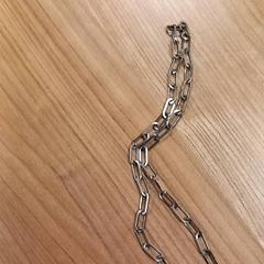 Necklace Zilver kleurig, as reported by RRReis Veluwe Zuid - Ede using iLost