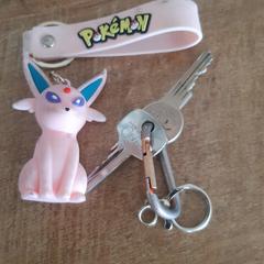 Sleutels met pokemonhanger, jak bylo nahlášeno na iLost