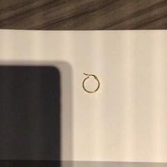 イヤリング Goud; hoop がiLostで Van der Valk Hotel Zwolle によって報告されました