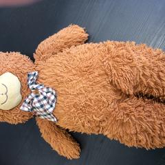 かわいらしいクマ Bruin がiLostで Breng Nijmegen によって報告されました