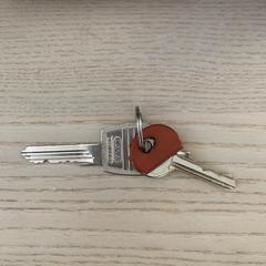 Keys a été signalé sur iLost
