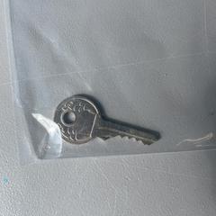House key, as reported by Zwarte Cross using iLost