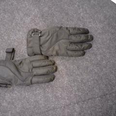 Luvas, segundo informou SnowWorld Landgraaf usando iLost