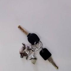 Keychain, as reported by 107de 4Daagse using iLost