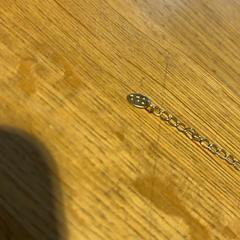 Bracelet, as reported by Designer Outlet Roermond using iLost