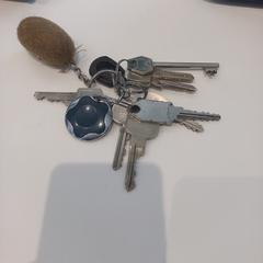 Kulcs Sleutels, amint azt Arriva Limburg Zuid az iLost segítségével jelentette.