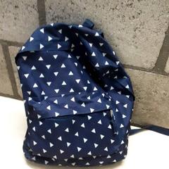Mochila, segundo informou Arriva Oost-Brabant usando iLost
