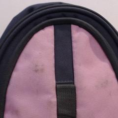 Mochila, segundo informou Walibi Holland usando iLost