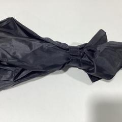 Umbrella - 280825 HYPE, as reported by Ziggo Dome using iLost