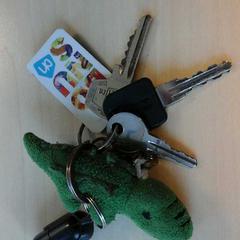 Sleutels aan sleutelhanger, conforme relatado por Connexxion Zeeland usando o iLost