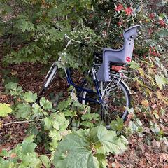 Fiets a été signalé sur iLost