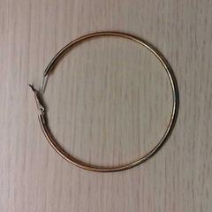 Oorbel, as reported by Connexxion Haaglanden Den Haag using iLost