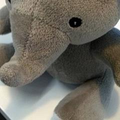 Knuffel, zoals gemeld door IKEA Gent met iLost