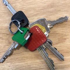 Nyckelring, rapporterat av Gemeente Alkmaar med iLost