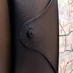 Glasses case, as reported by RRReis IJssel-Vecht using iLost