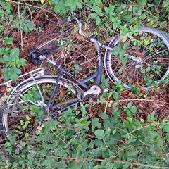 fiets, som rapporterats till iLost
