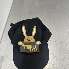 Baseballcapen, som rapportert av IKEA Linköping ved bruk av iLost