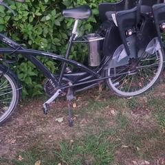 Fiets, as reported to iLost