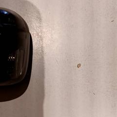 Earpods, zoals gemeld door De Efteling met iLost