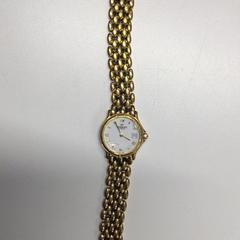 ساعة اليد Gouden horloge، كما تم الإبلاغ عنه بواسطة Gemeente Haarlem عبر iLost