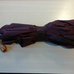 Paraplu opvouwbaar, as reported by Connexxion Zeeland using iLost