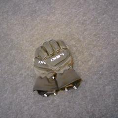 Gloves, as reported by SnowWorld Landgraaf using iLost