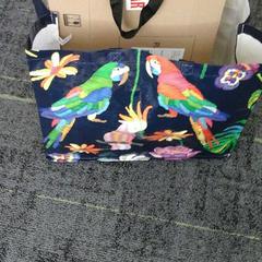 Tas, as reported by Connexxion Noord Holland Noord Alkmaar using iLost