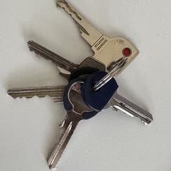 keys: pack of 5, as reported to iLost