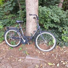 Fiets, come riportato a iLost