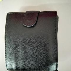 Wallet, as reported by Twisto using iLost