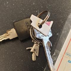 Sleutel, as reported by Keolis Blauwnet Enschede using iLost