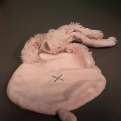 Knuffeldoek konijn, rapporterat av Diergaarde Blijdorp med iLost